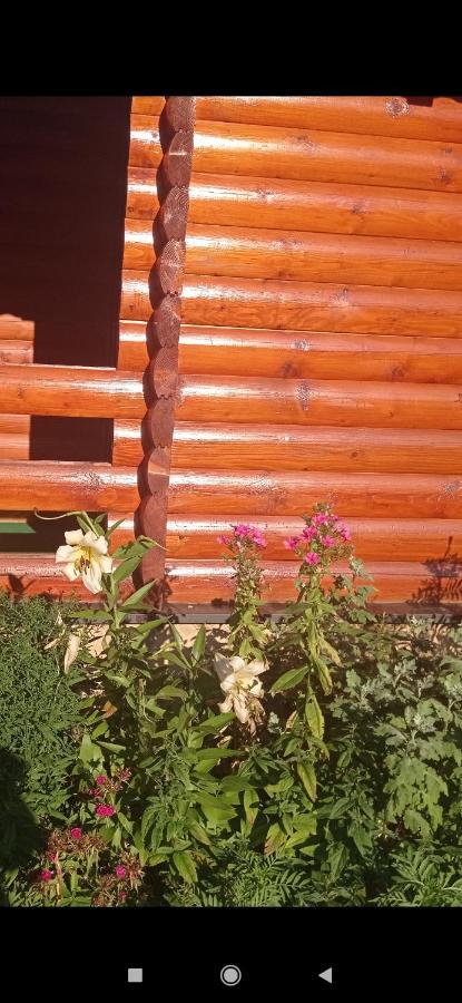 Etnopetra Hotel Mojkovac Exterior photo