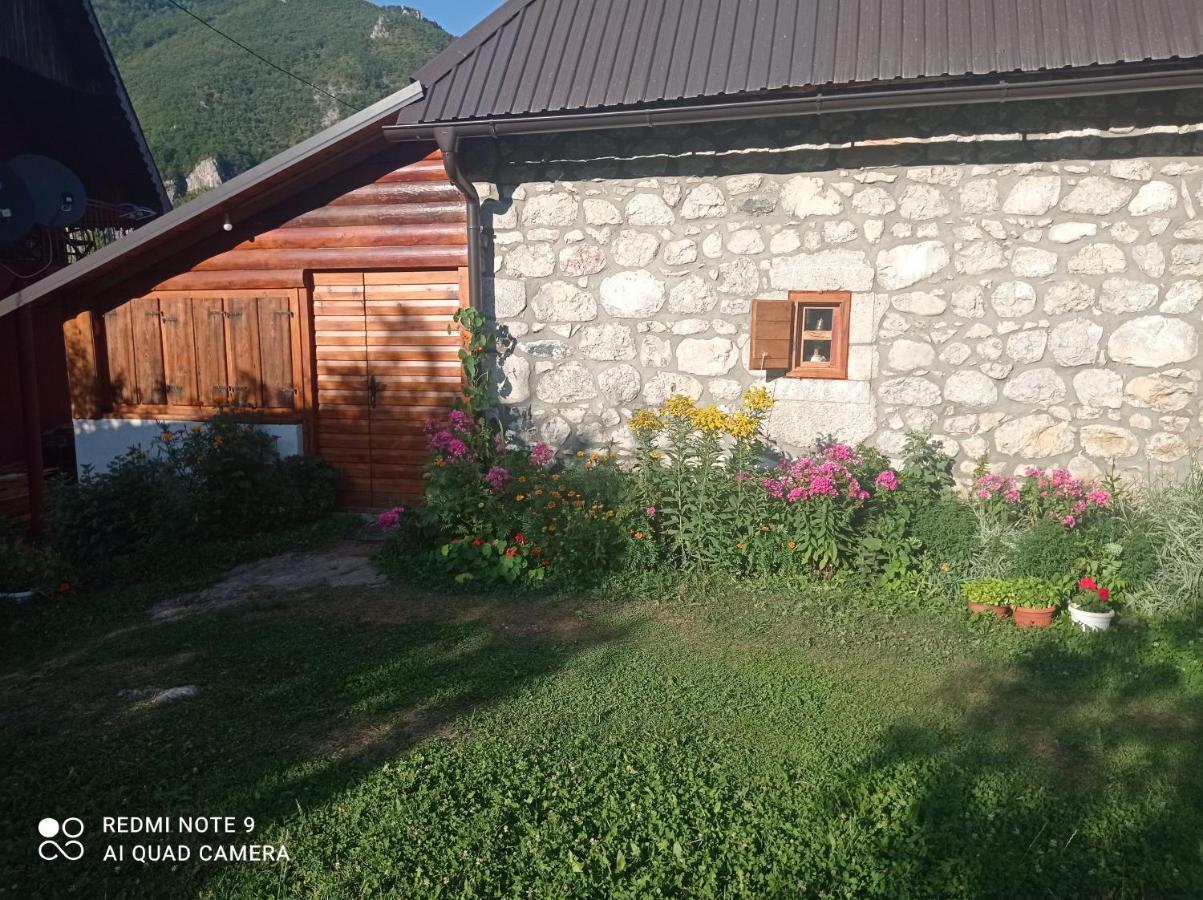 Etnopetra Hotel Mojkovac Exterior photo