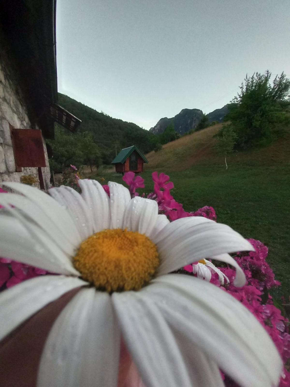Etnopetra Hotel Mojkovac Exterior photo